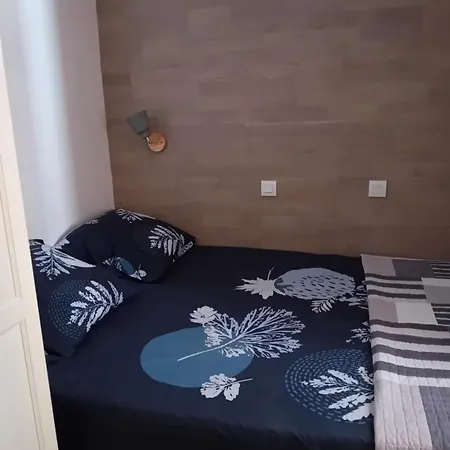T2 Avec Piscine A 100 M De La