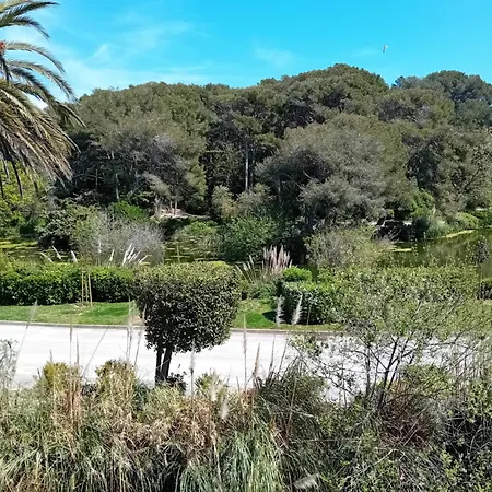 T2 Avec Piscine A 100 M De La *